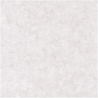 BET101489301 Uni Mat Beton Wallpaper by Caselio