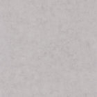 BET101489460 Uni Mat Beton Wallpaper by Caselio