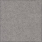 BET101489600 Uni Mat Beton Wallpaper by Caselio