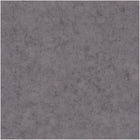 BET101489779 Uni Mat Beton Wallpaper by Caselio