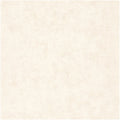 Uni Metallise Beton Wallpaper by Caselio