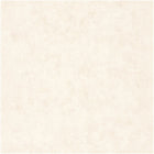 BET101491019 Uni Metallise Beton Wallpaper by Caselio