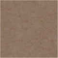 Uni Metallise Beton Wallpaper by Caselio