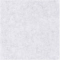 Uni Metallise Beton Wallpaper by Caselio