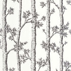 BLD106120000 Automne Balade Wallpaper by Caselio