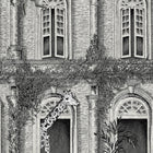 BMTD001/03B Animal Architecture Tropical Daze Wallpaper by Brand McKenzie