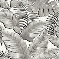 Banana Leaves Max Tropical Daze Wallpaper by Brand McKenzie