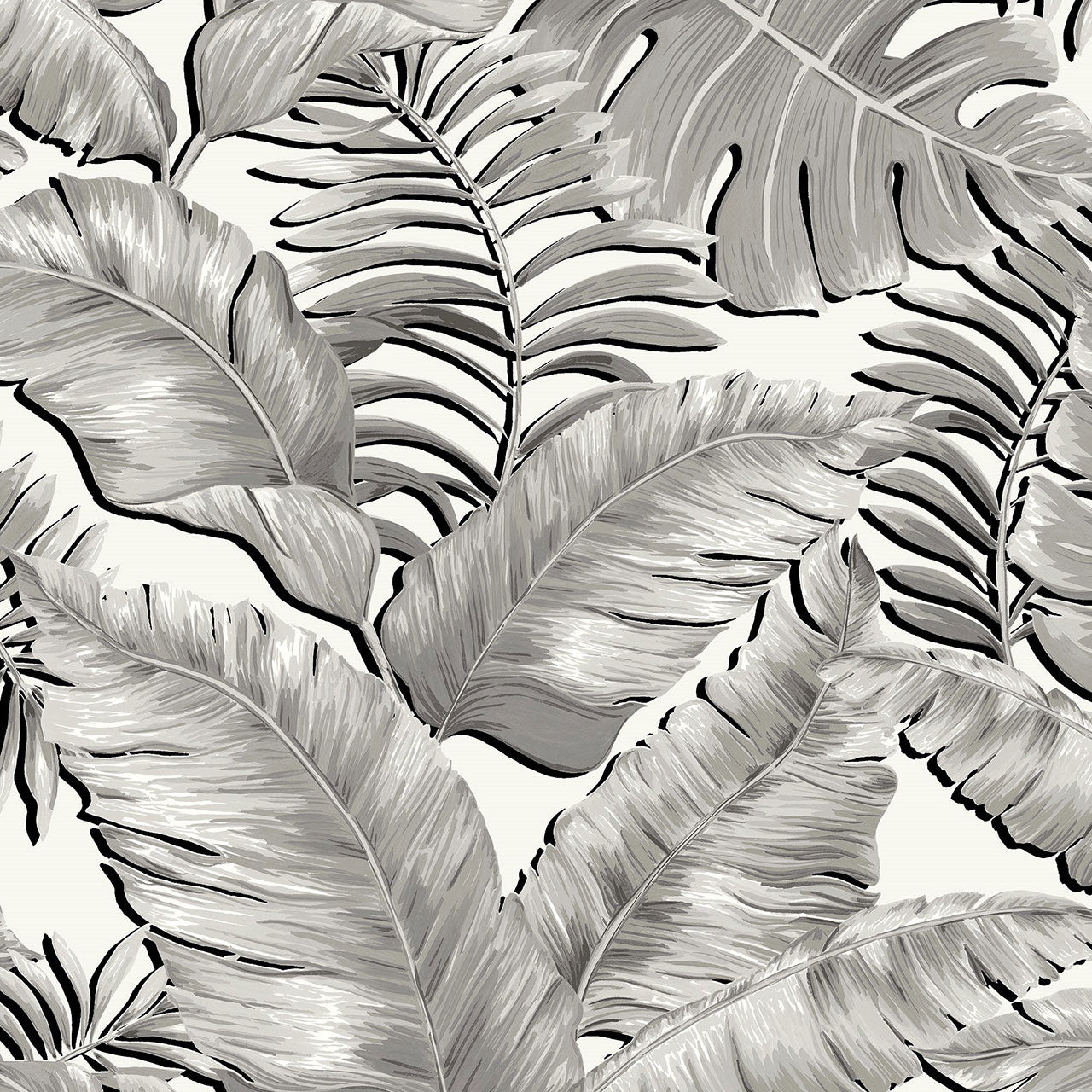 BMTD001/06A Banana Leaves Tropical Daze Wallpaper by Brand McKenzie