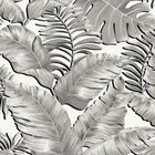 BMTD001/06A Banana Leaves Tropical Daze Wallpaper by Brand McKenzie