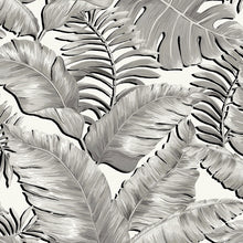 BMTD001/06A Banana Leaves Tropical Daze Wallpaper by Brand McKenzie