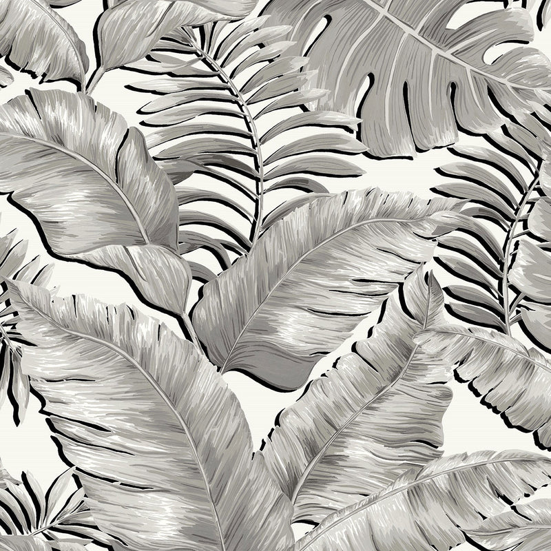 BMTD001/06A Banana Leaves Tropical Daze Wallpaper by Brand McKenzie