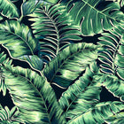 BMTD001/06C Banana Leaves Tropical Daze Wallpaper by Brand McKenzie