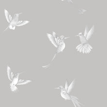 BMTD001/08B Exotic Birds Tropical Daze Wallpaper by Brand McKenzie