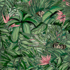 BMTD001/09A Monkey Forest Tropical Daze Wallpaper by Brand McKenzie
