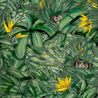 BMTD001/09B Monkey Forest Tropical Daze Wallpaper by Brand McKenzie