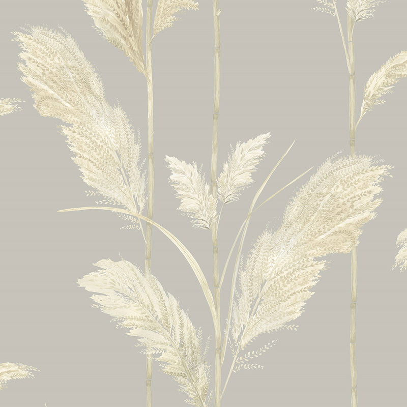 BMTD001/10B Pampas Grass Tropical Daze Wallpaper by Brand McKenzie