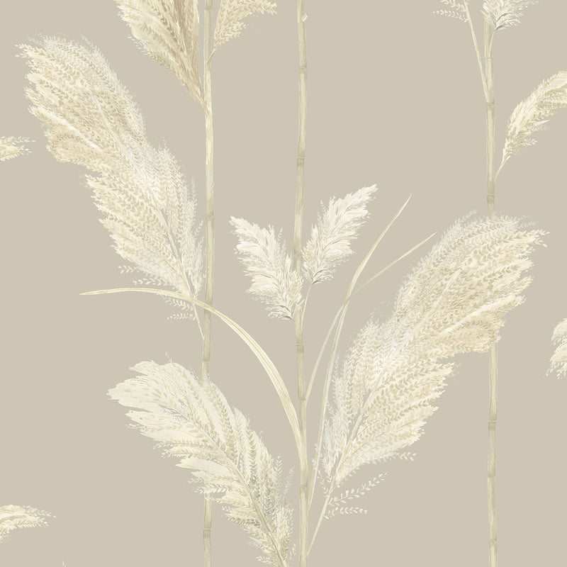 BMTD001/10C Pampas Grass Tropical Daze Wallpaper by Brand McKenzie