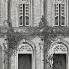 BMTD001/12B The Architecture Tropical Daze Wallpaper by Brand McKenzie