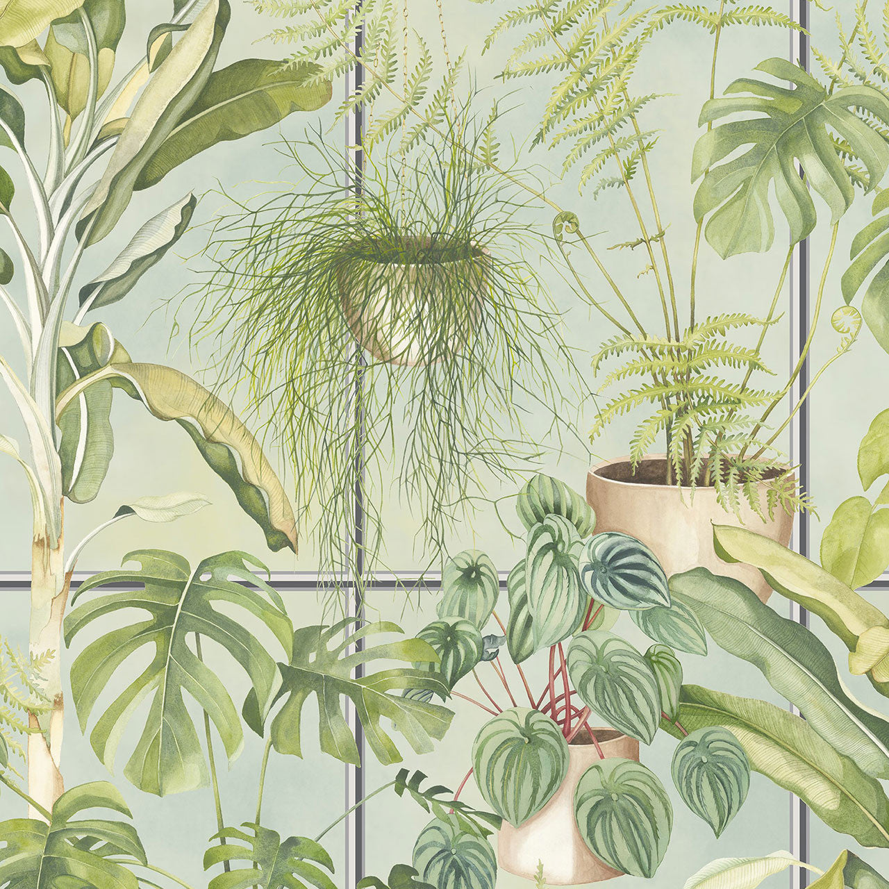 BMTD001/13B The Green House Tropical Daze Wallpaper by Brand McKenzie