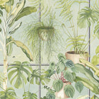 BMTD001/13B The Green House Tropical Daze Wallpaper by Brand McKenzie