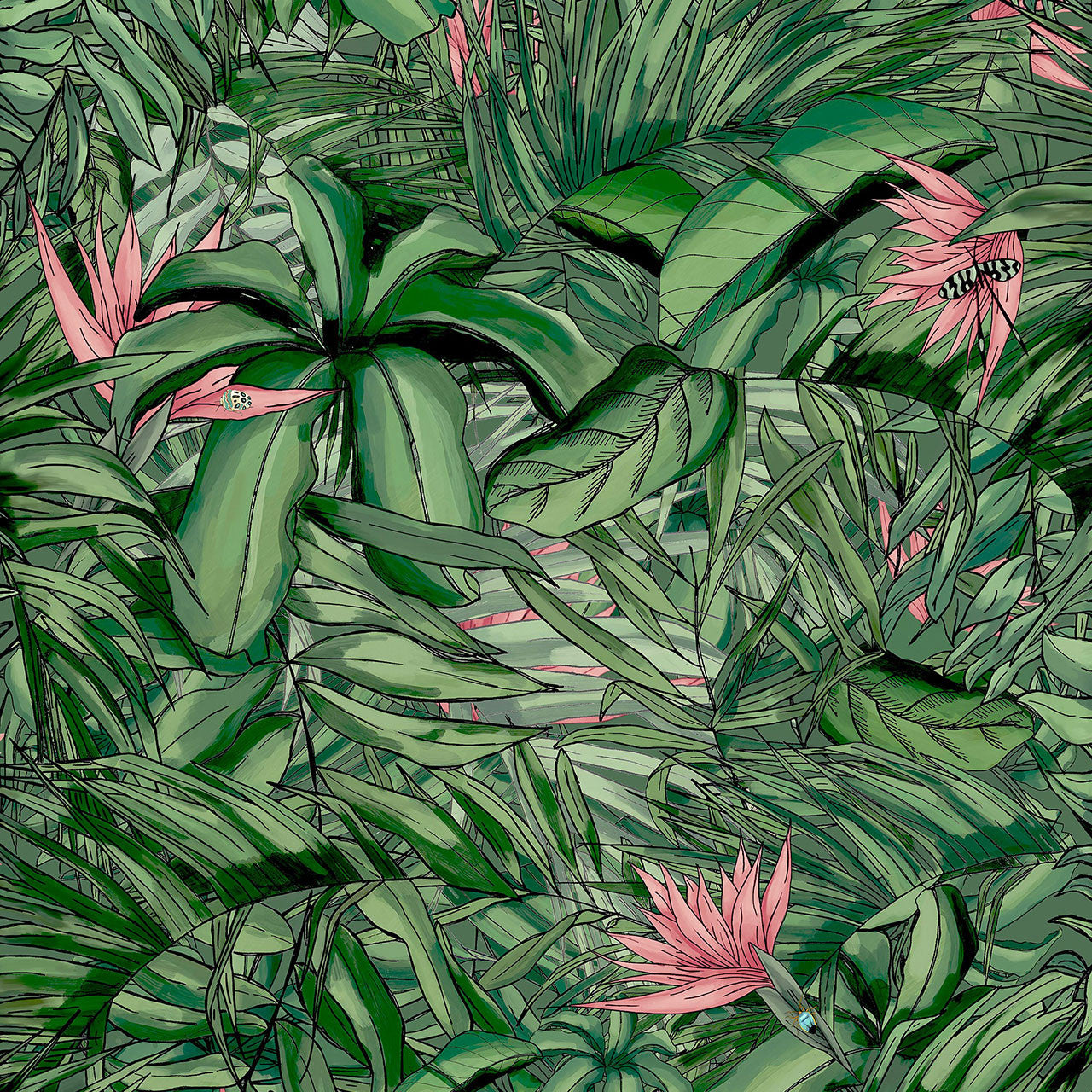 BMTD001/15A Tropical Forest Tropical Daze Wallpaper by Brand McKenzie