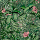 BMTD001/15A Tropical Forest Tropical Daze Wallpaper by Brand McKenzie