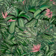 BMTD001/15A Tropical Forest Tropical Daze Wallpaper by Brand McKenzie