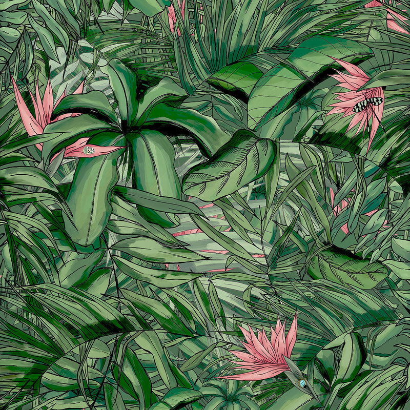 BMTD001/15A Tropical Forest Tropical Daze Wallpaper by Brand McKenzie