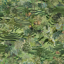 BMTD001/17B Rice Terrace Max Tropical Daze Wallpaper by Brand McKenzie