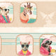 Cabin Class Sky Breeze Viva Vintage Wallpaper by Brand McKenzie