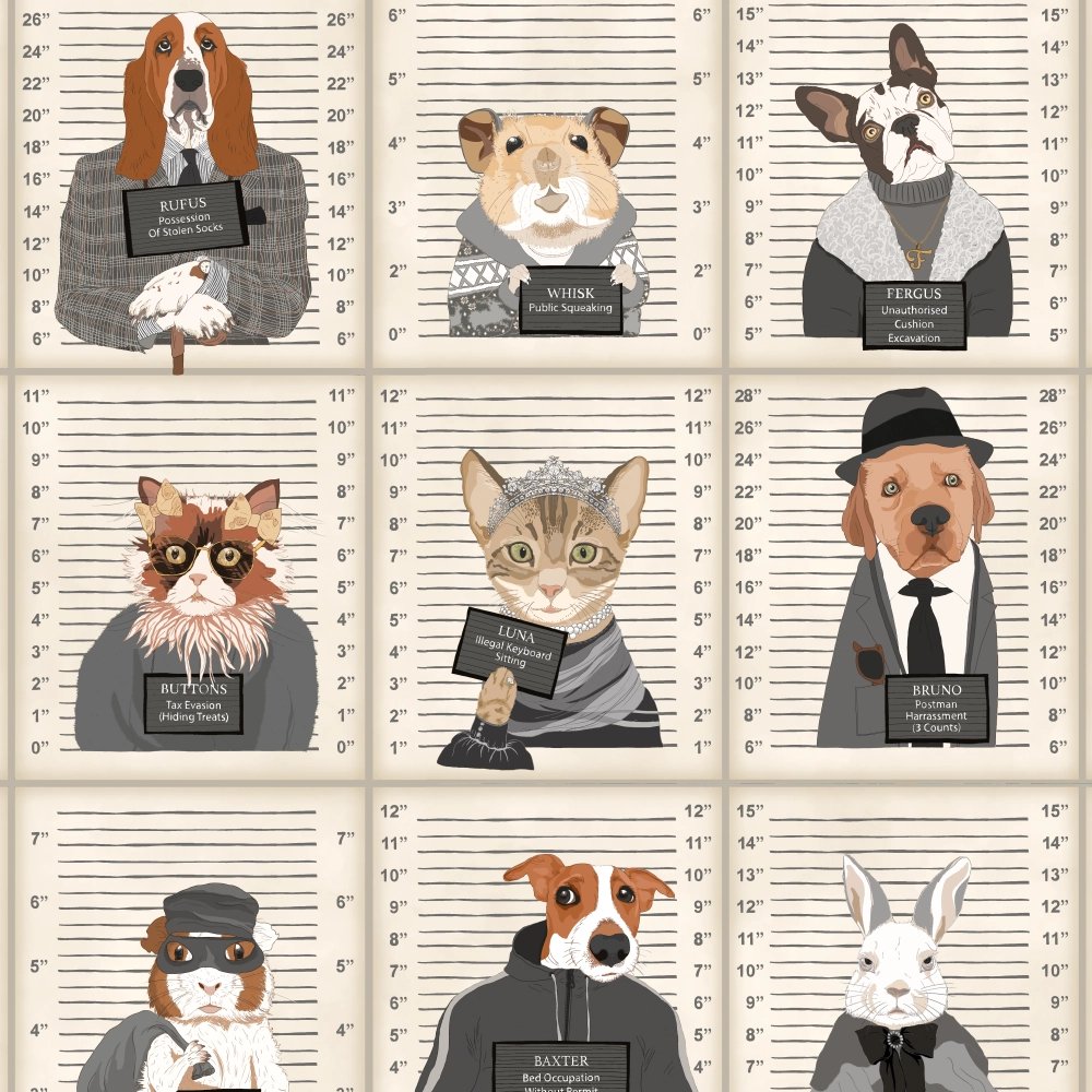 BMVV007/06B Resisting Arrest Chalk & Charcoal Viva Vintage Wallpaper by Brand McKenzie