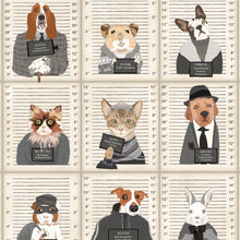 BMVV007/06B Resisting Arrest Chalk & Charcoal Viva Vintage Wallpaper by Brand McKenzie