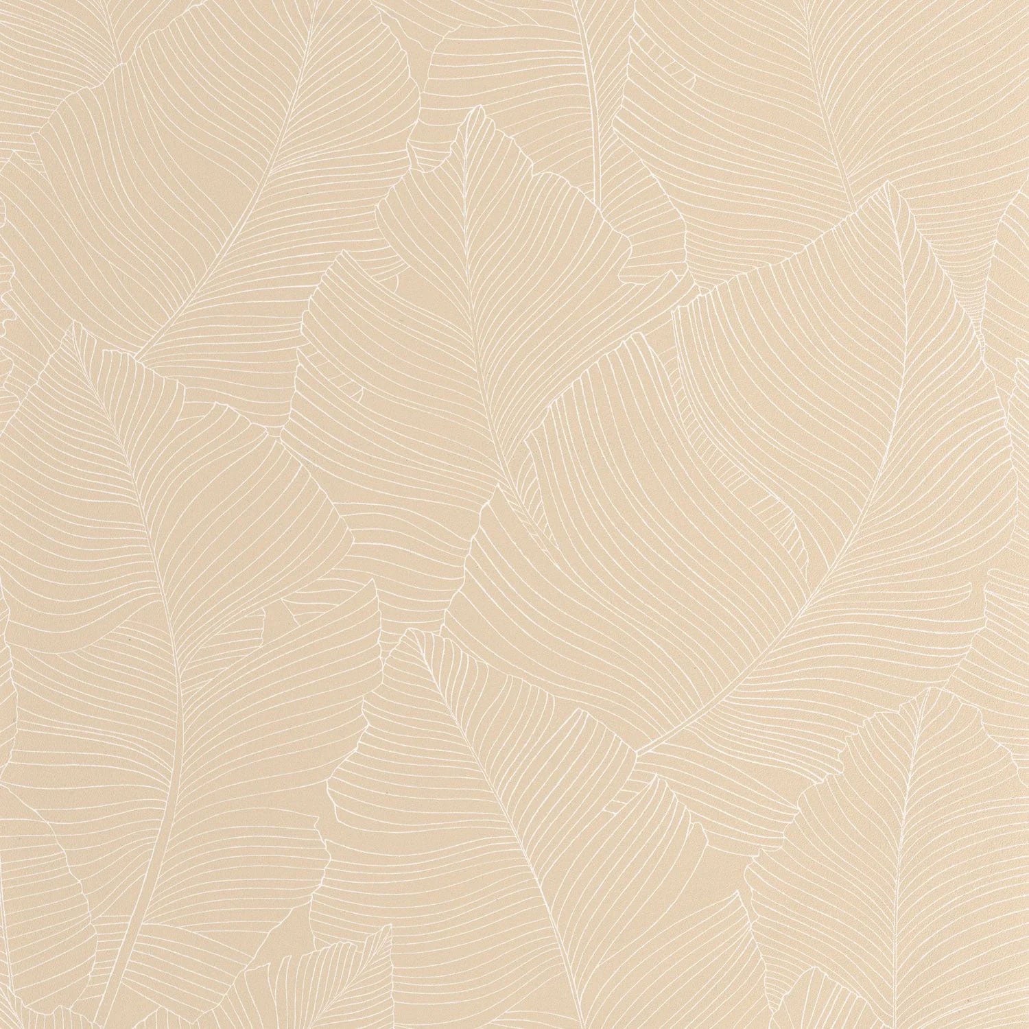 BORN106500010 Vegetalia Borneo Wallpaper by Caselio