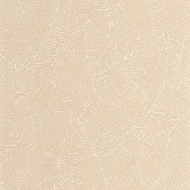 BORN106500010 Vegetalia Borneo Wallpaper by Caselio
