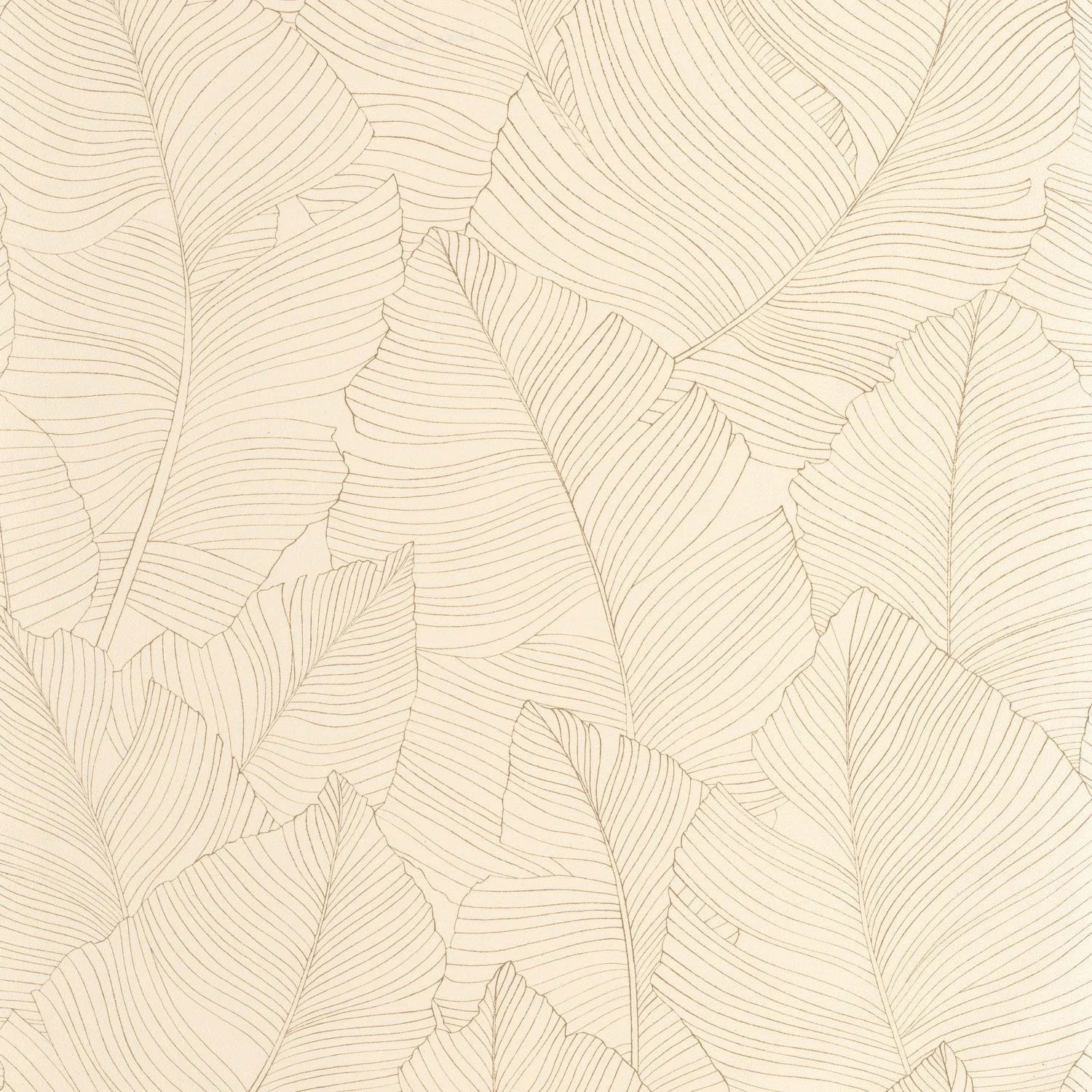 BORN106502017 Vegetalia Borneo Wallpaper by Caselio