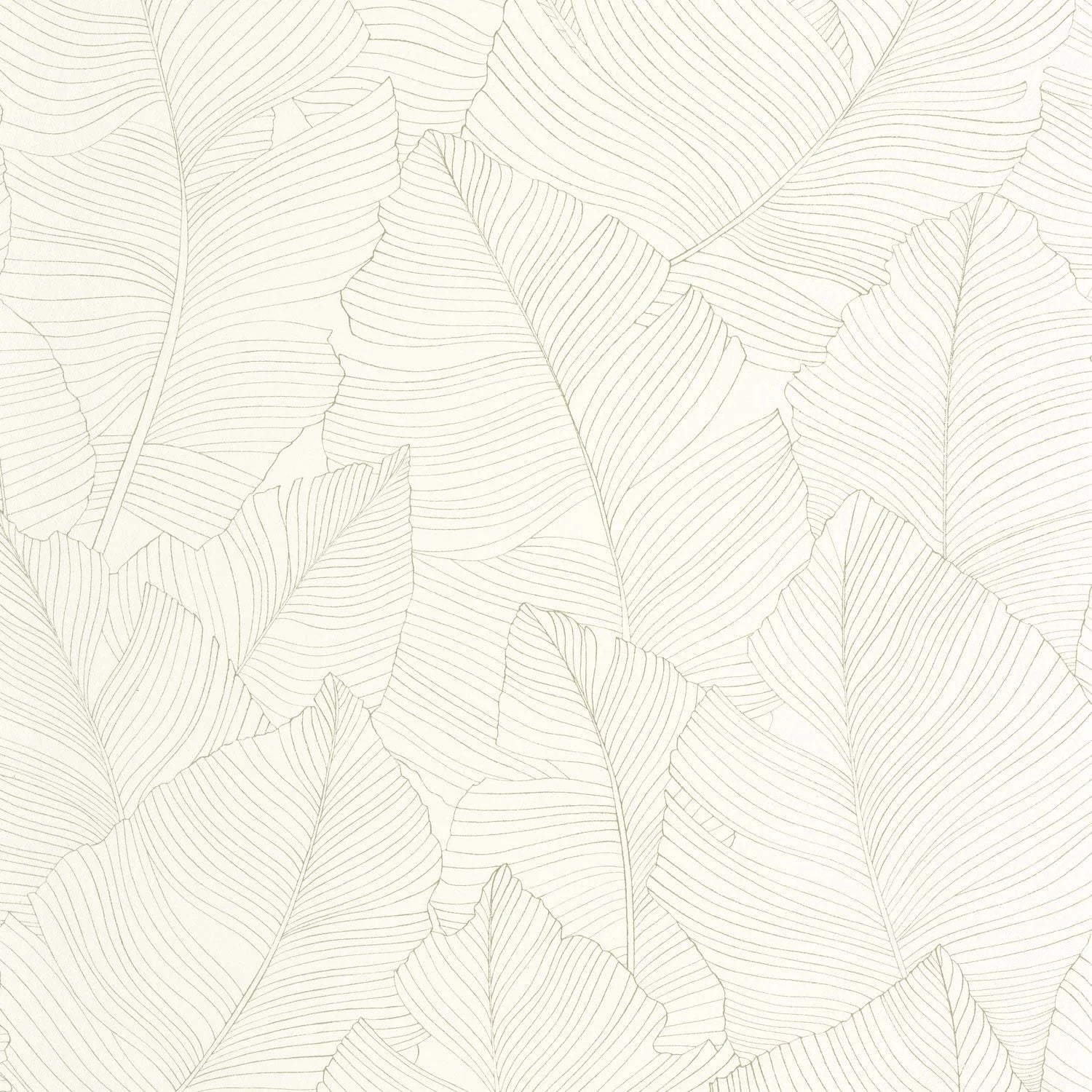 BORN106507050 Vegetalia Borneo Wallpaper by Caselio