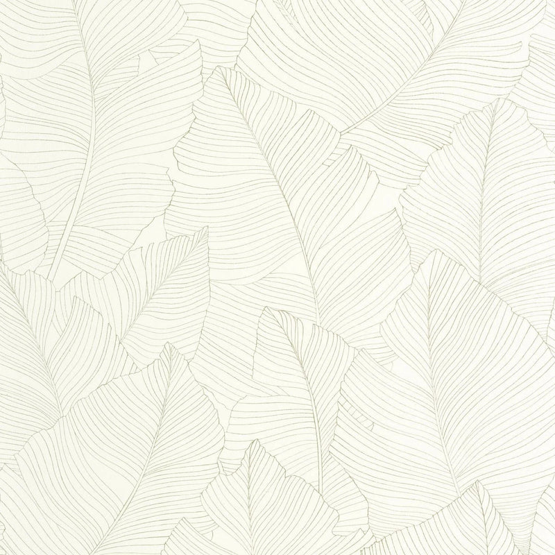 BORN106507050 Vegetalia Borneo Wallpaper by Caselio