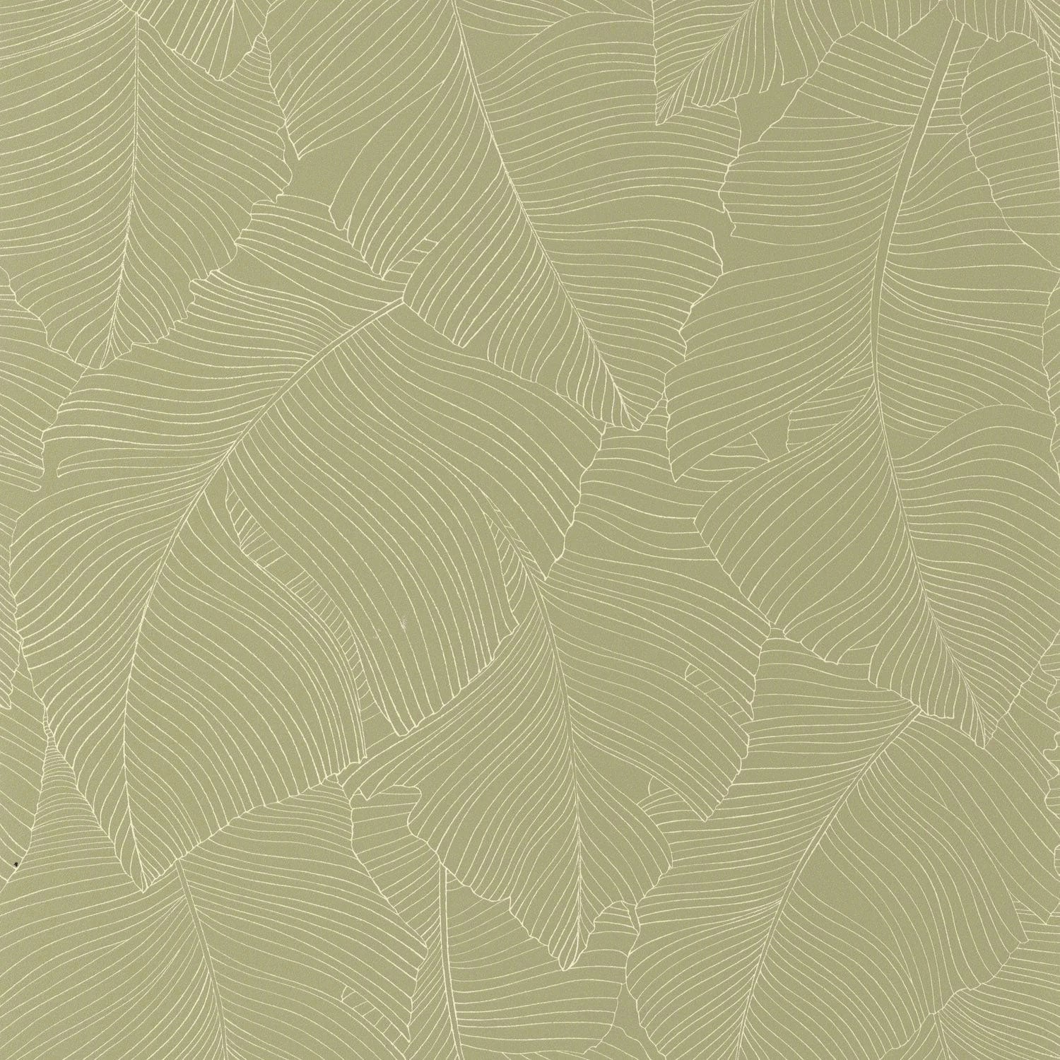 BORN106507170 Vegetalia Borneo Wallpaper by Caselio