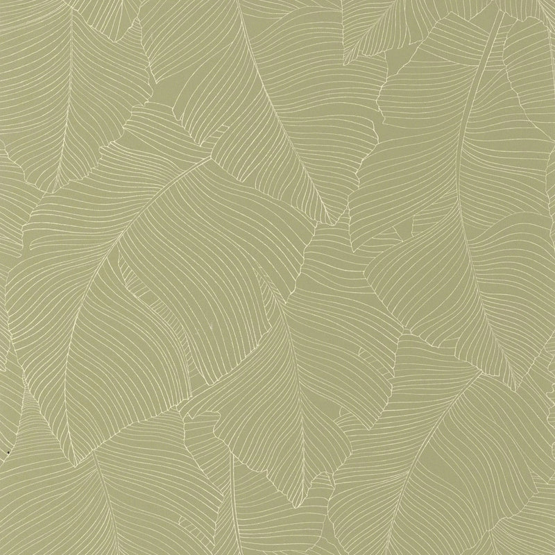 BORN106507170 Vegetalia Borneo Wallpaper by Caselio