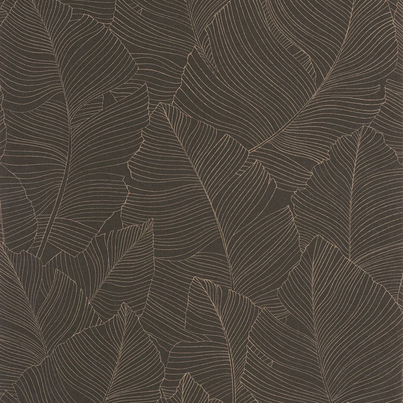 BORN106509027 Vegetalia Borneo Wallpaper by Caselio