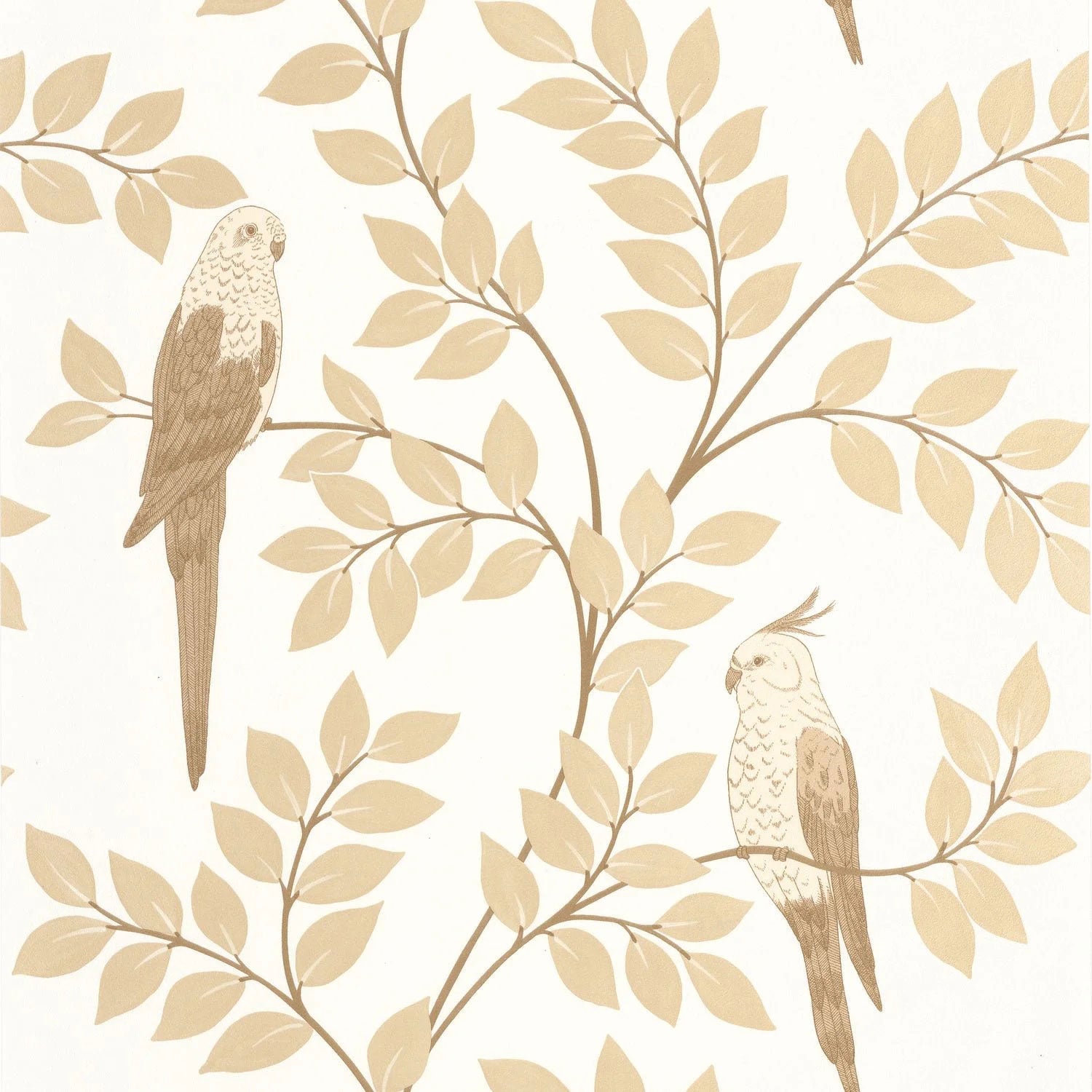 BORN106521000 Equateur Borneo Wallpaper by Caselio