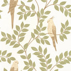 BORN106527070 Equateur Borneo Wallpaper by Caselio