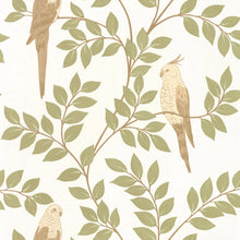 BORN106527070 Equateur Borneo Wallpaper by Caselio