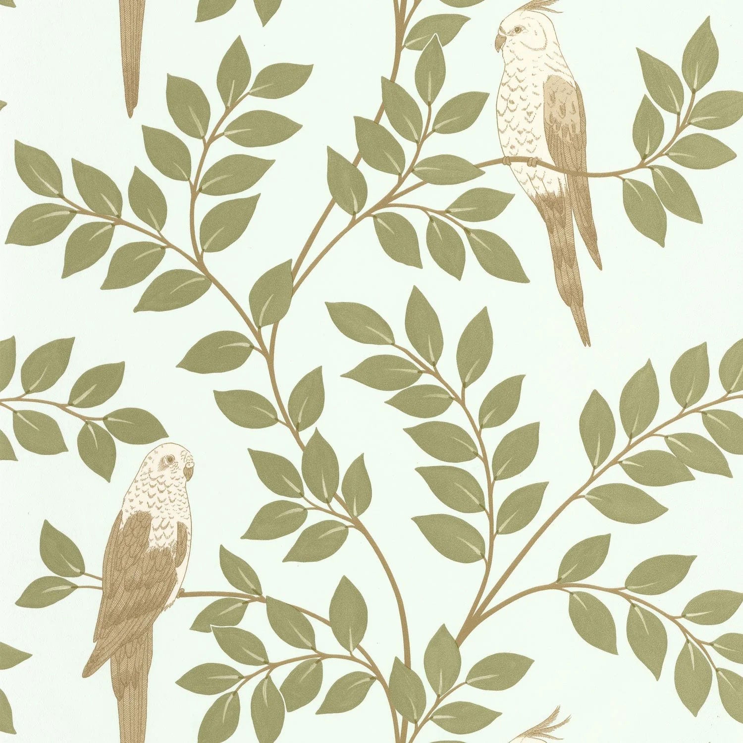 BORN106527162 Equateur Borneo Wallpaper by Caselio