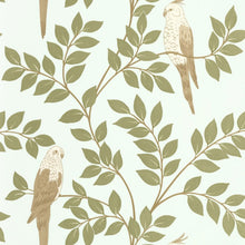 BORN106527162 Equateur Borneo Wallpaper by Caselio