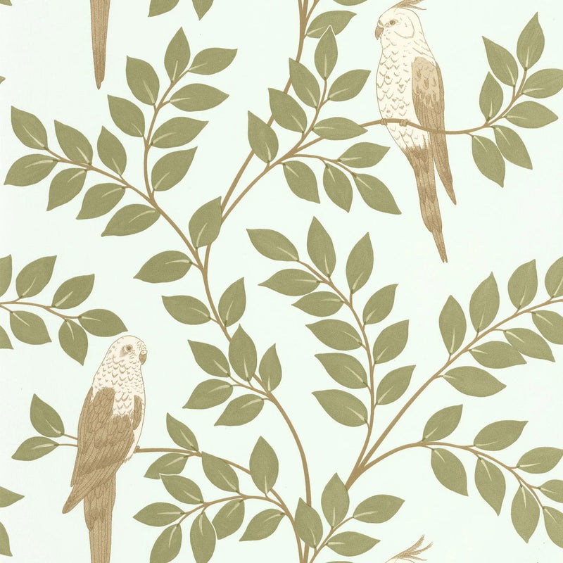 BORN106527162 Equateur Borneo Wallpaper by Caselio