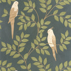 BORN106527254 Equateur Borneo Wallpaper by Caselio