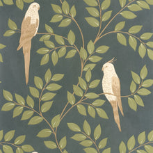 BORN106527254 Equateur Borneo Wallpaper by Caselio