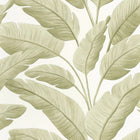 BORN106547003 Tropicalia Borneo Wallpaper by Caselio