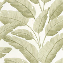 BORN106547003 Tropicalia Borneo Wallpaper by Caselio